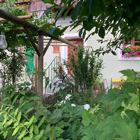 Schreiner Apartamento