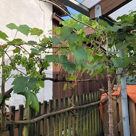 Apartamento Schreiner *