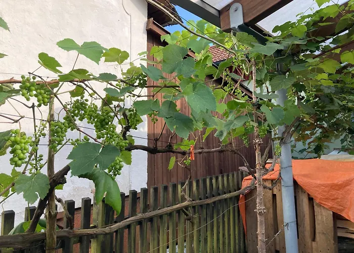 Lejlighed Schreiner *